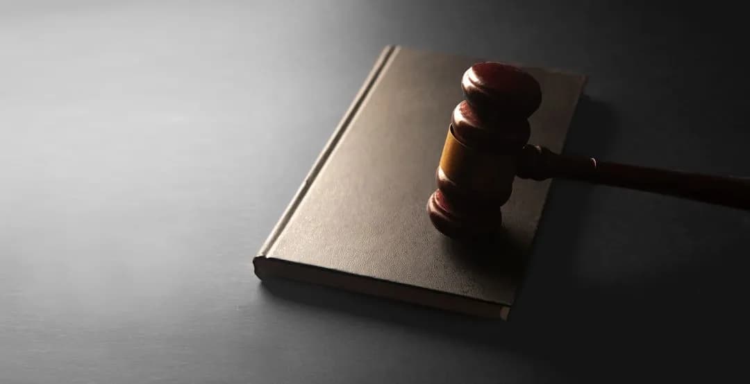 Classement sans suite de l'enquête sur les stupéfiants dans l'affaire Rima Hassan : la réaction de son avocat