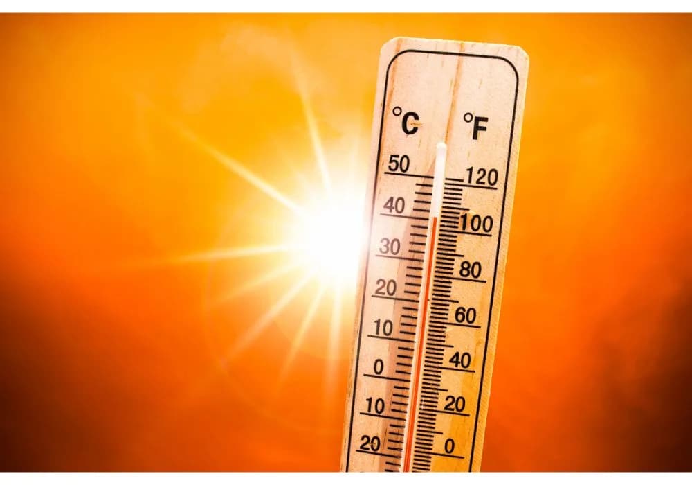 Canicule en France : Pollution et dangers liés à la chaleur font les actualités