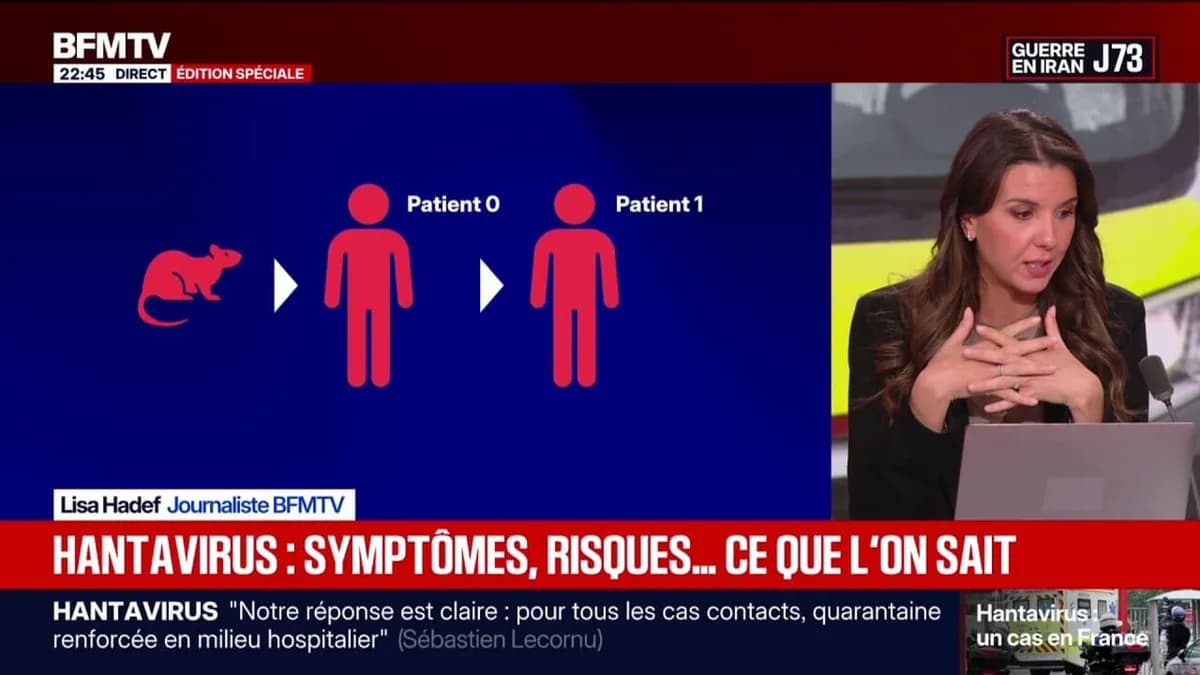 Hantavirus : symptômes, risques et suivi des cas après évacuation du MV Hondius