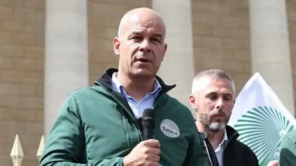 Canicule et agriculture : la FNSEA exige un plan de soutien de l'État pour les récoltes dévastées
