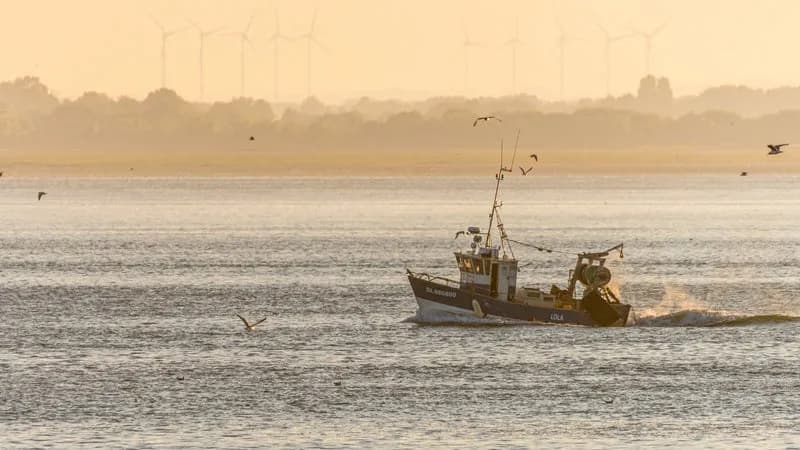 Pêcheurs : 30 % du chiffre d’affaires perdu malgré un gazole à 1,21 €/l