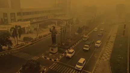 Incendies en Indonésie : comment le smog toxique atteint la Malaisie et le Vietnam